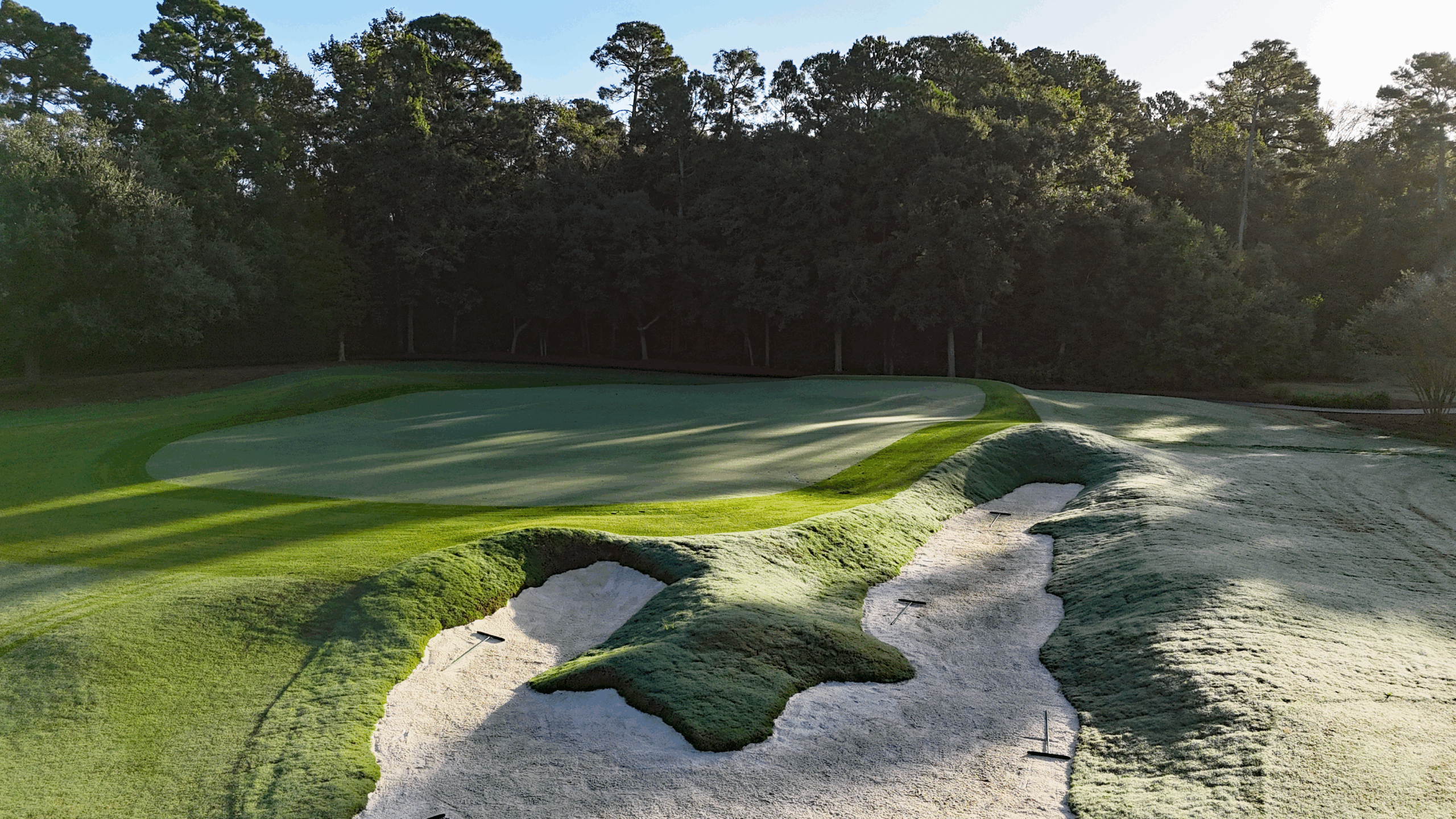 Kings North 14th Green Low ND 100225