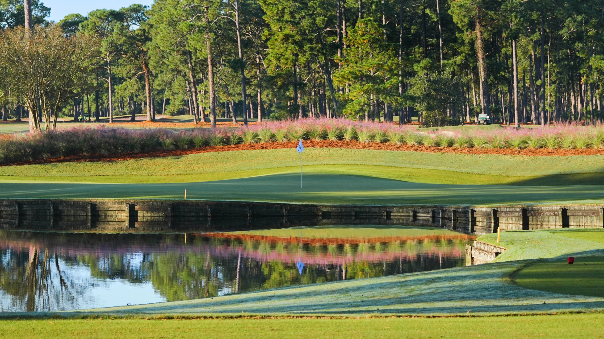 Page header image